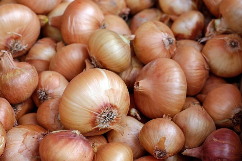 Organic Farming